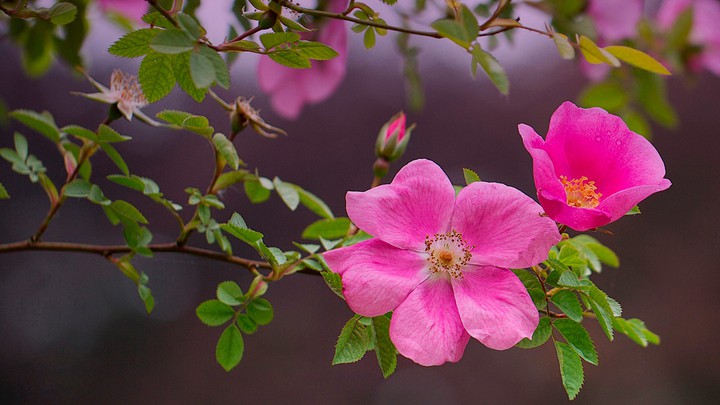 500px HDR