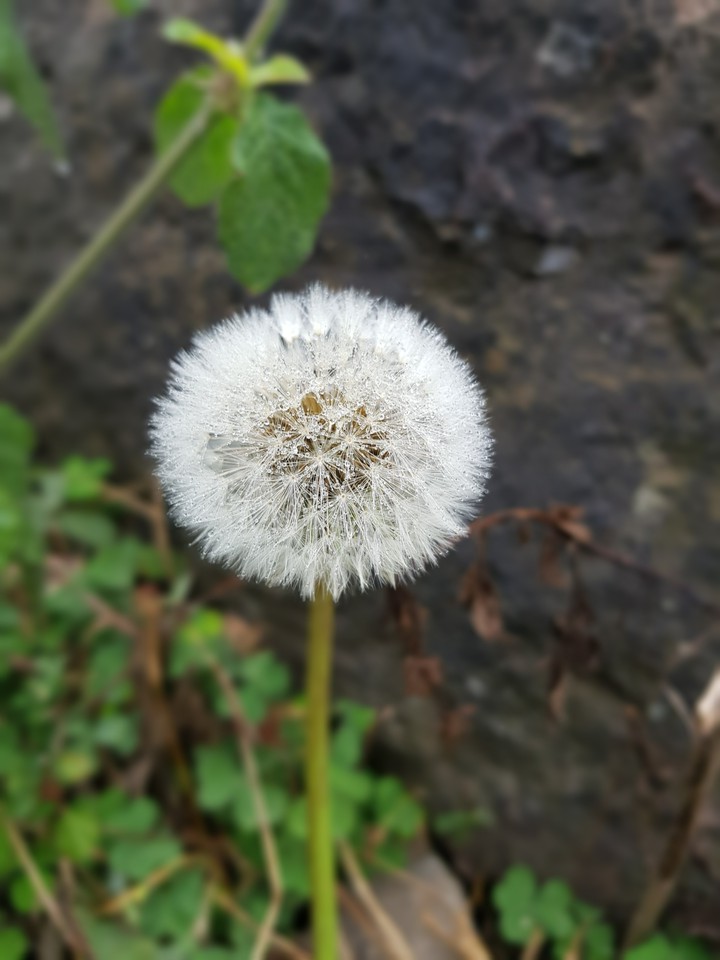 #Nature