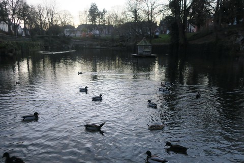 jardin Minelle