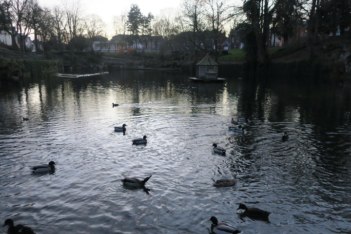 jardin Minelle