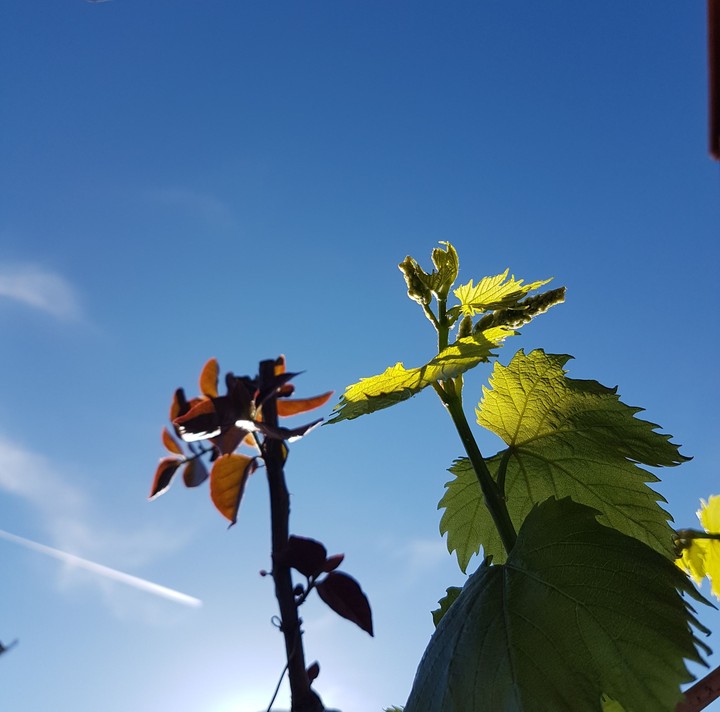 sky