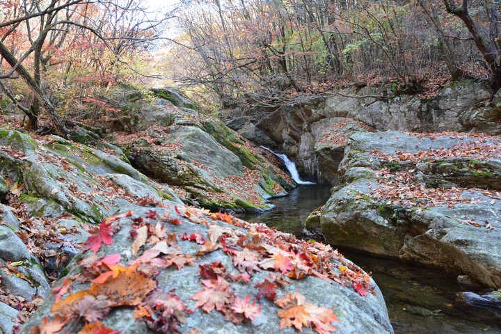 산이미지