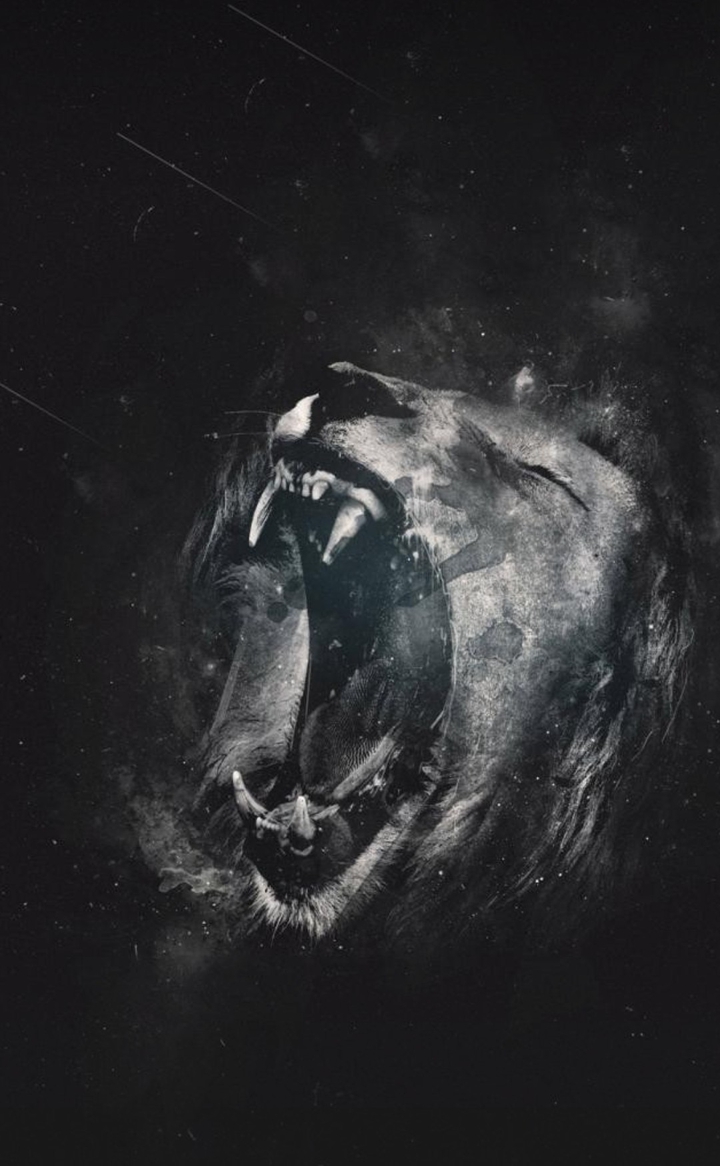 lion