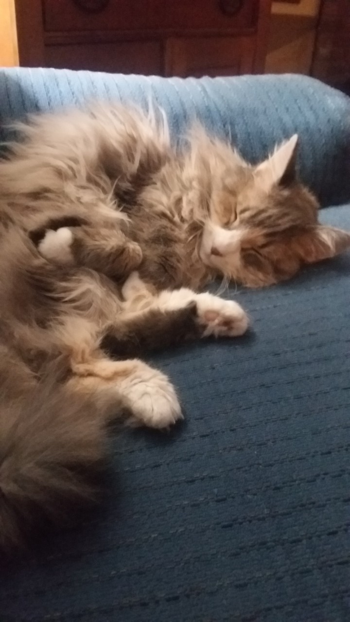 ZZZZ