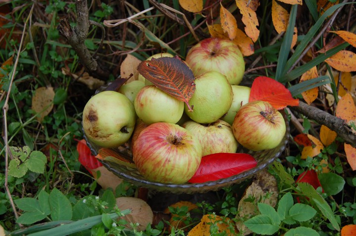 bright autumn