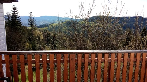 Wiosna