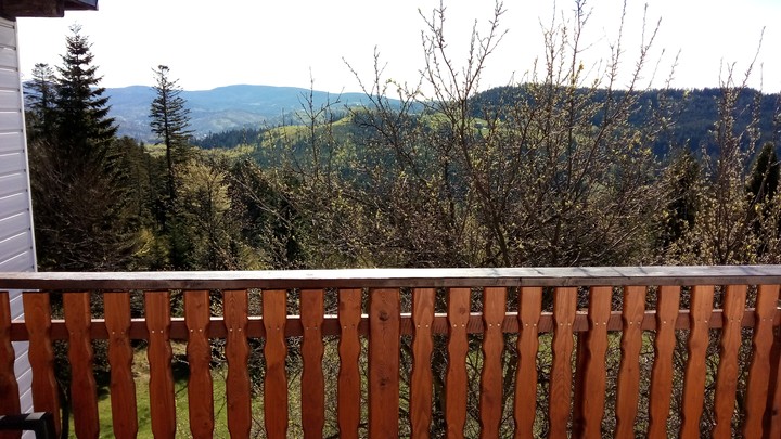 Wiosna