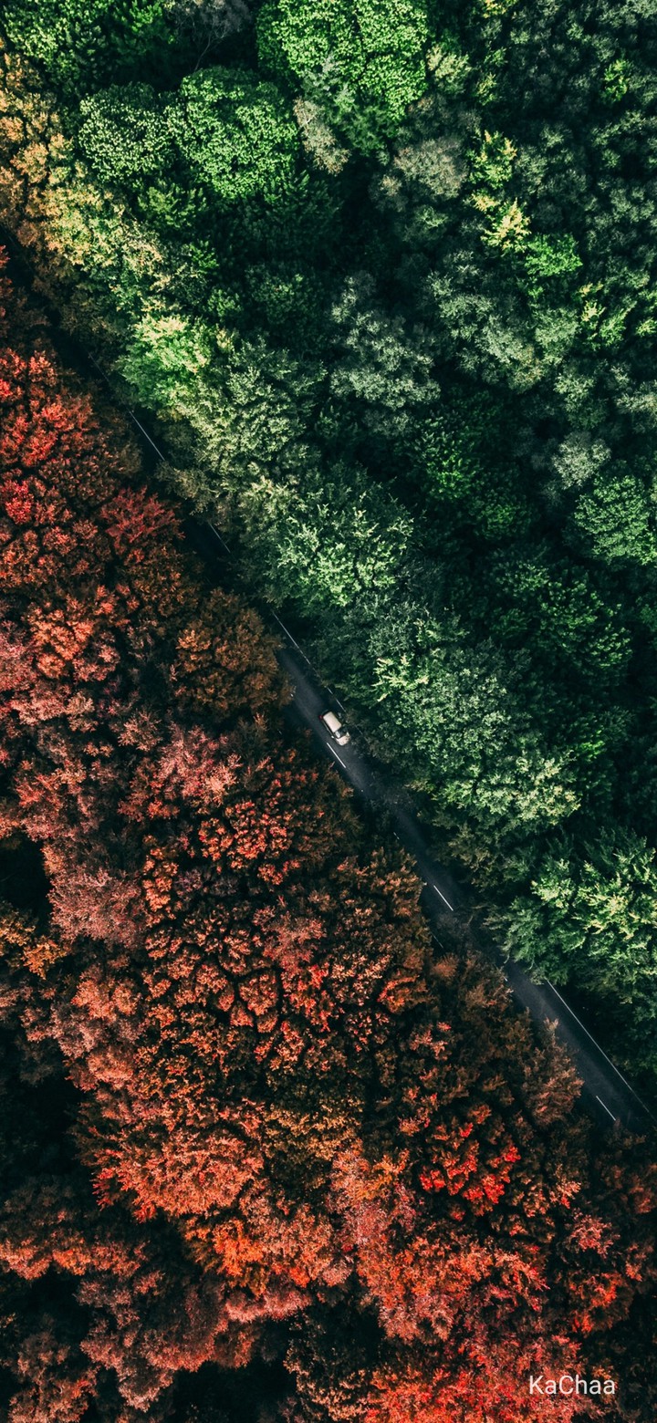 naturevsnature