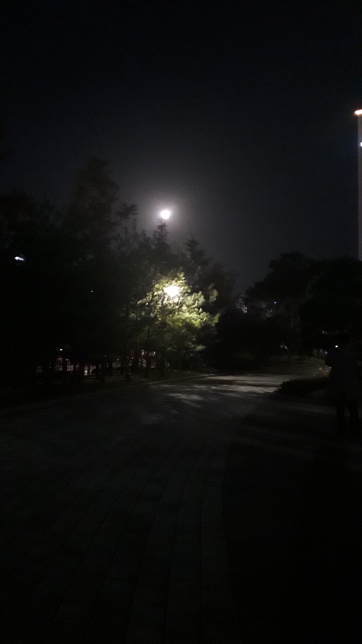 보름달