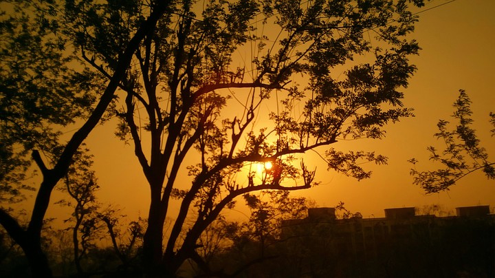 Sunrise