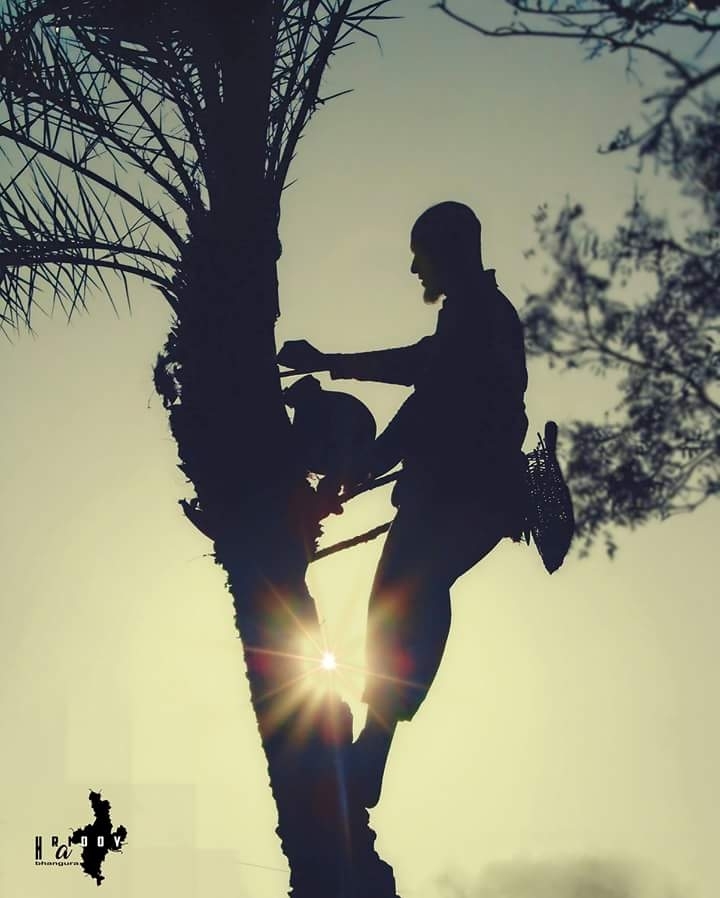 nature