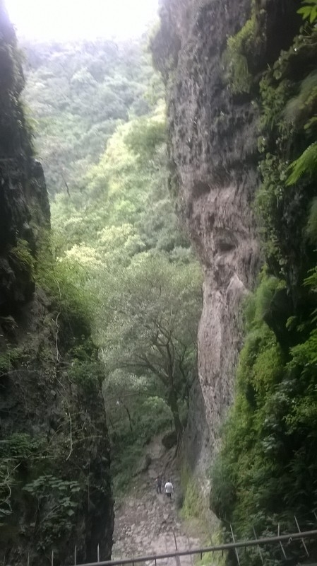 Tepozteco