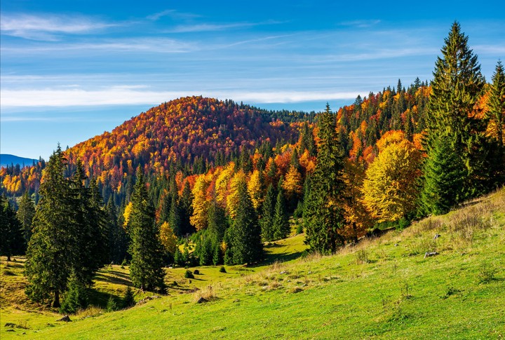 La nature ce part déjà des couleur de l'Automne