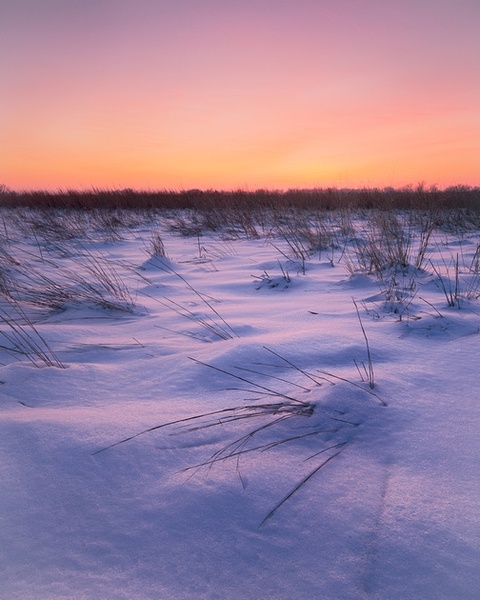 frost field