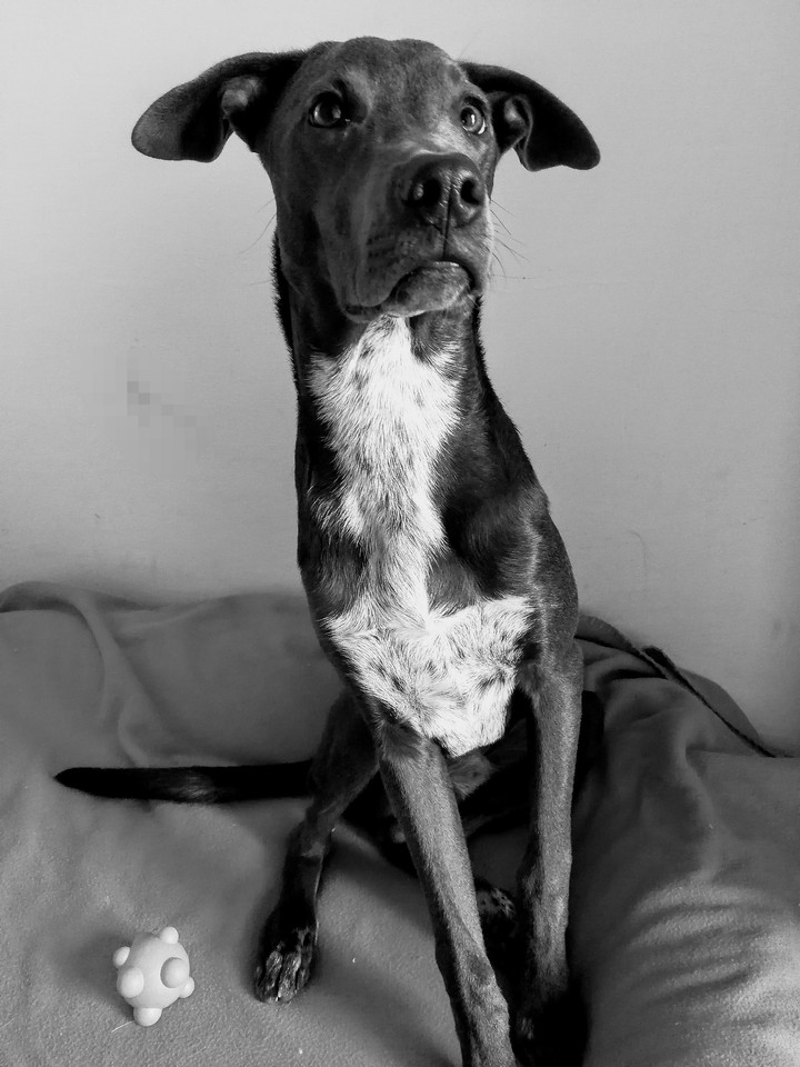 Edgar <3