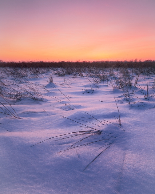 frost field