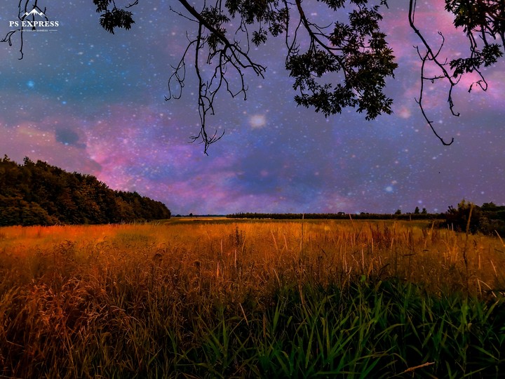 landscape