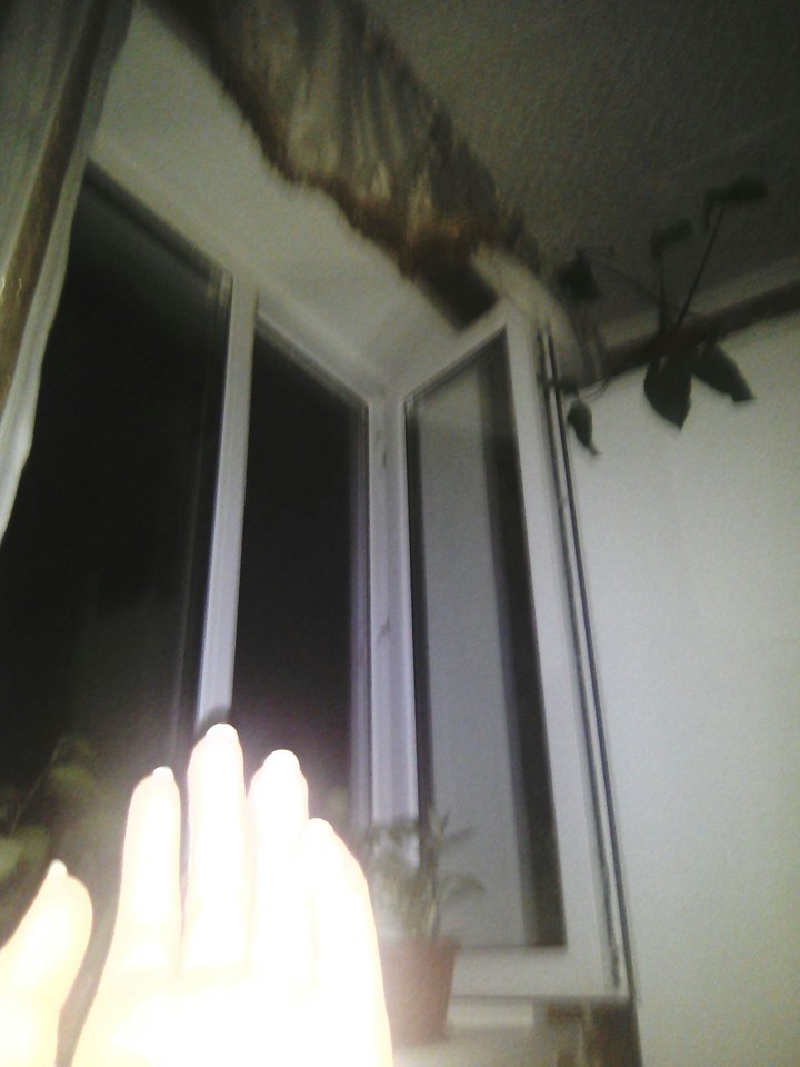 hand