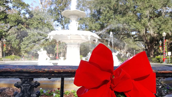 south carolina christmas