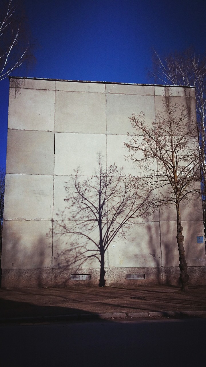 Shadow of tree...