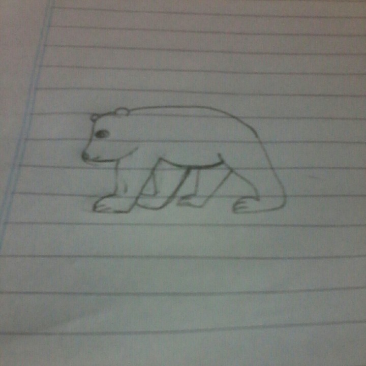 oso panda
