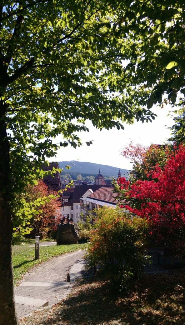 Beautiful day in Friesenheim - Germany