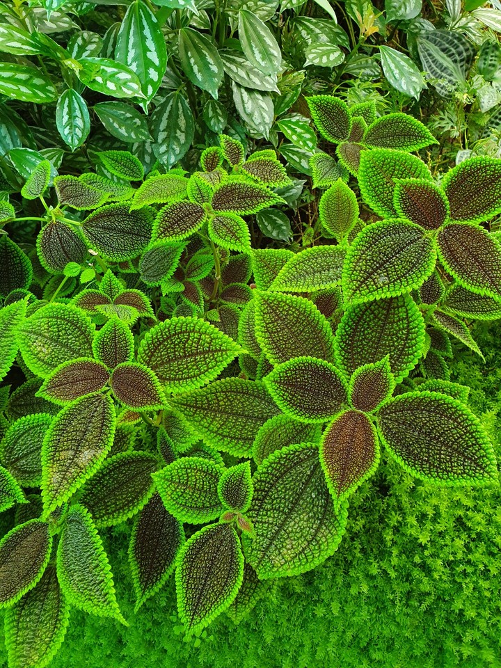 really green