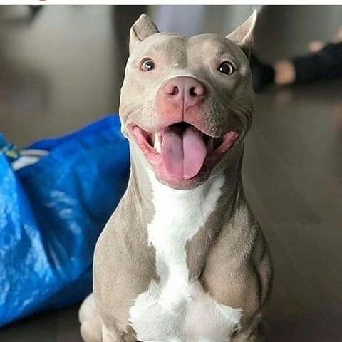 ♥️♥️♥️