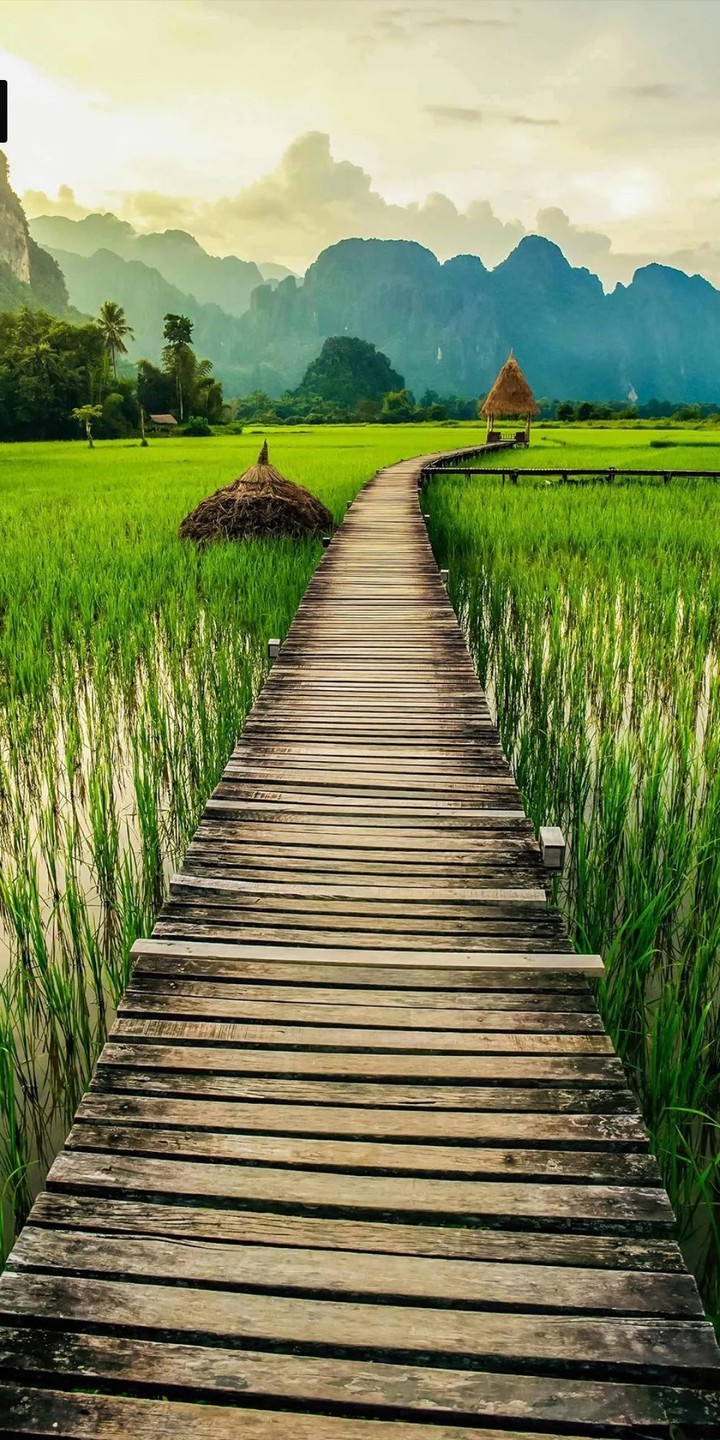 The Agri bridge