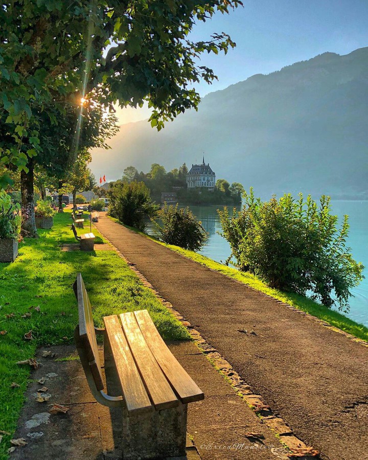 swiss