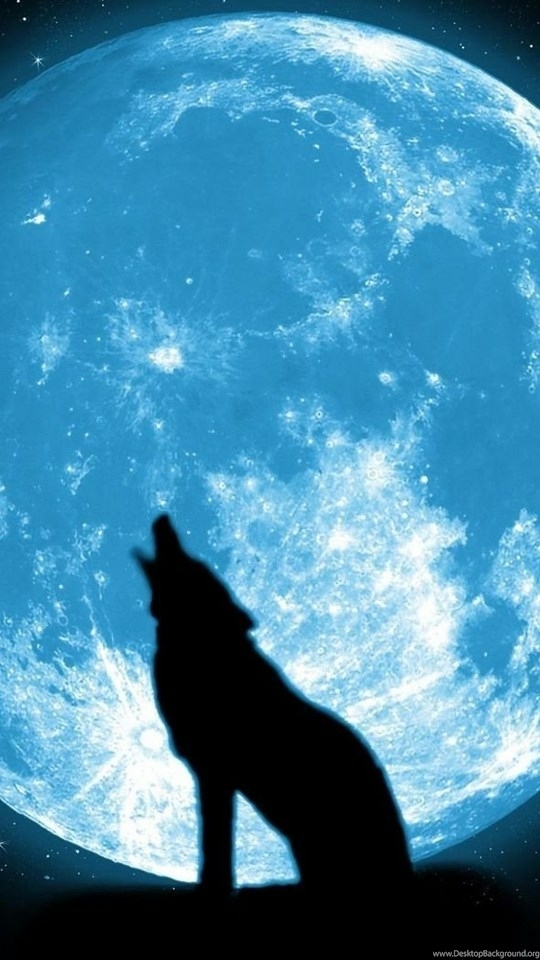 Moon Wolf