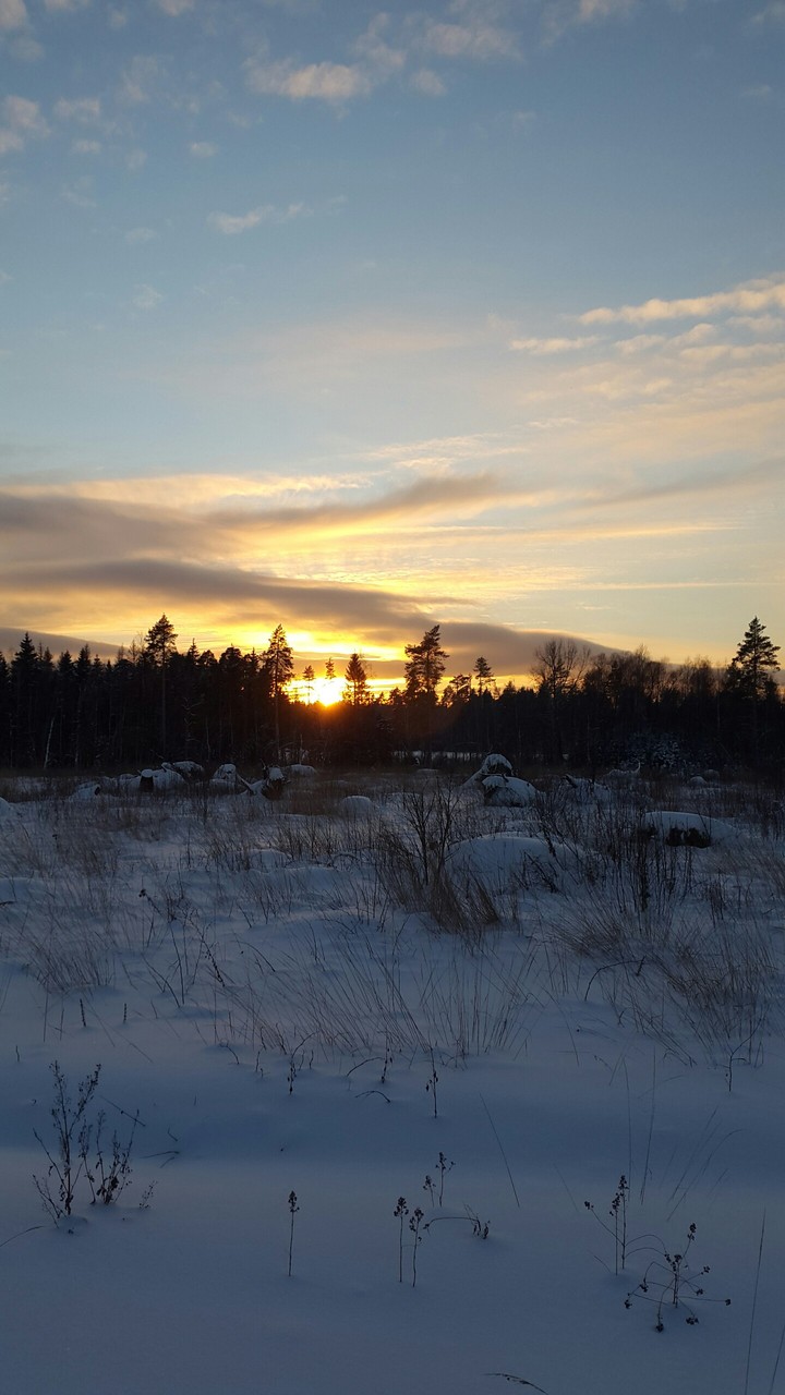 winter