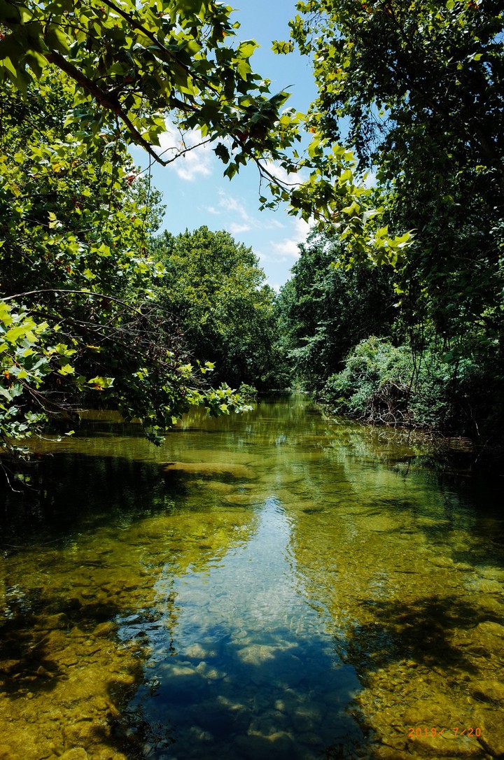 summer on the greenbelt