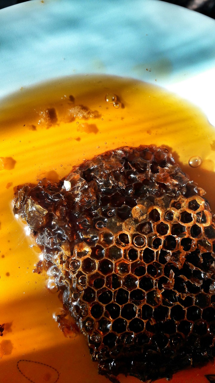 Honey