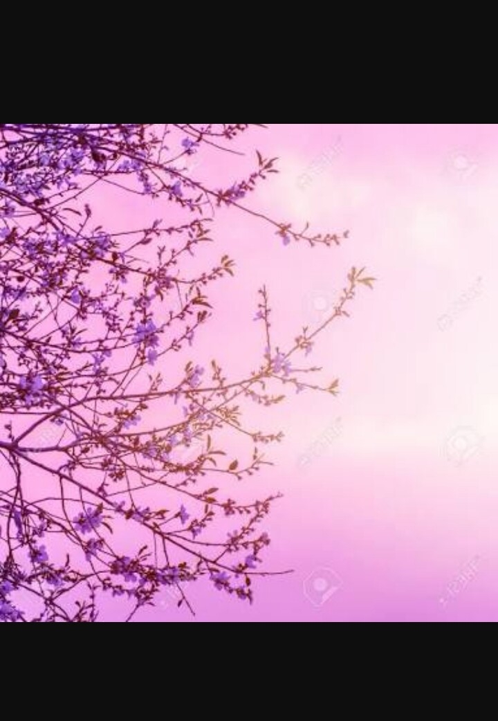 Spring....