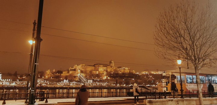Buda Castle