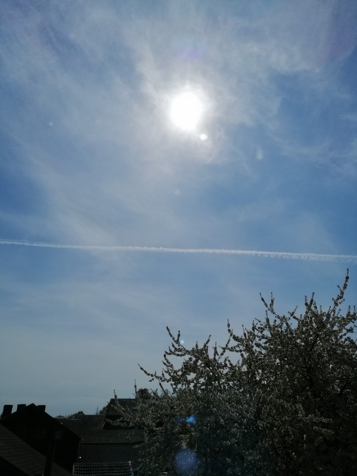 Un soleil de printemps ☀