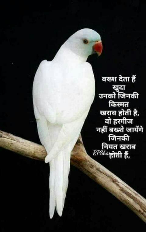 Very very true !!!