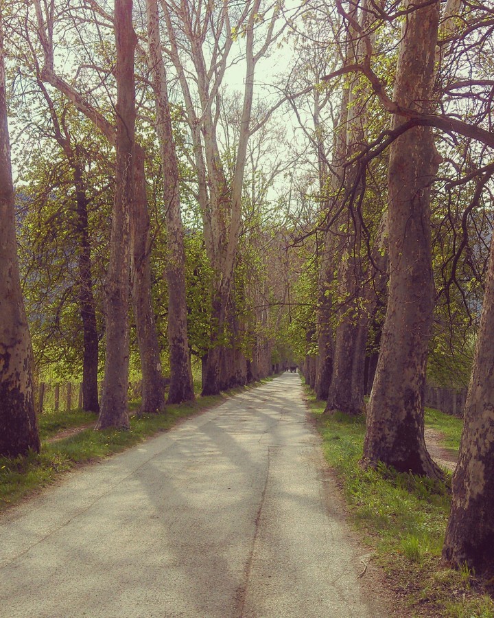 road to heaven