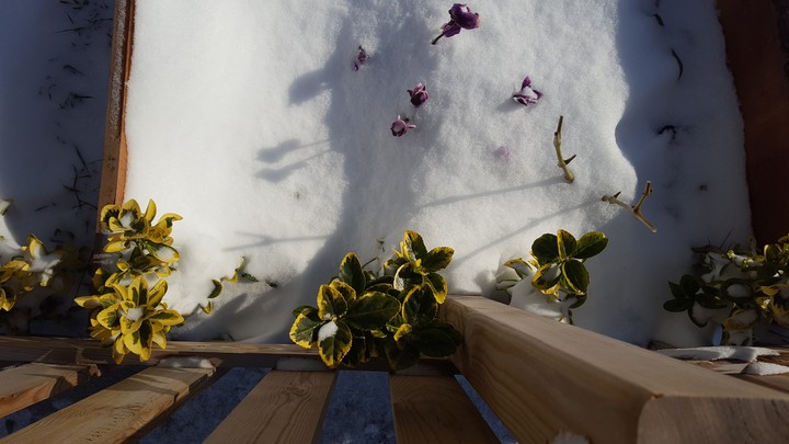 snow