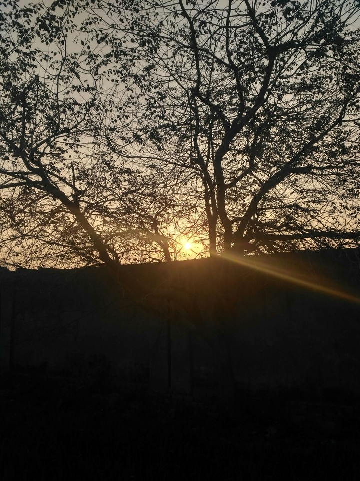 sunshine