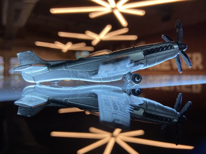plane in potrait