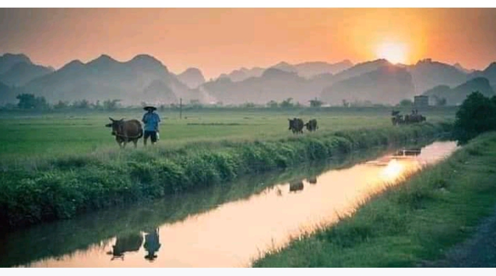 Thailand