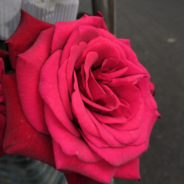 click by me