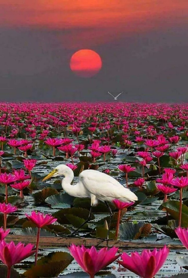 naturaleza