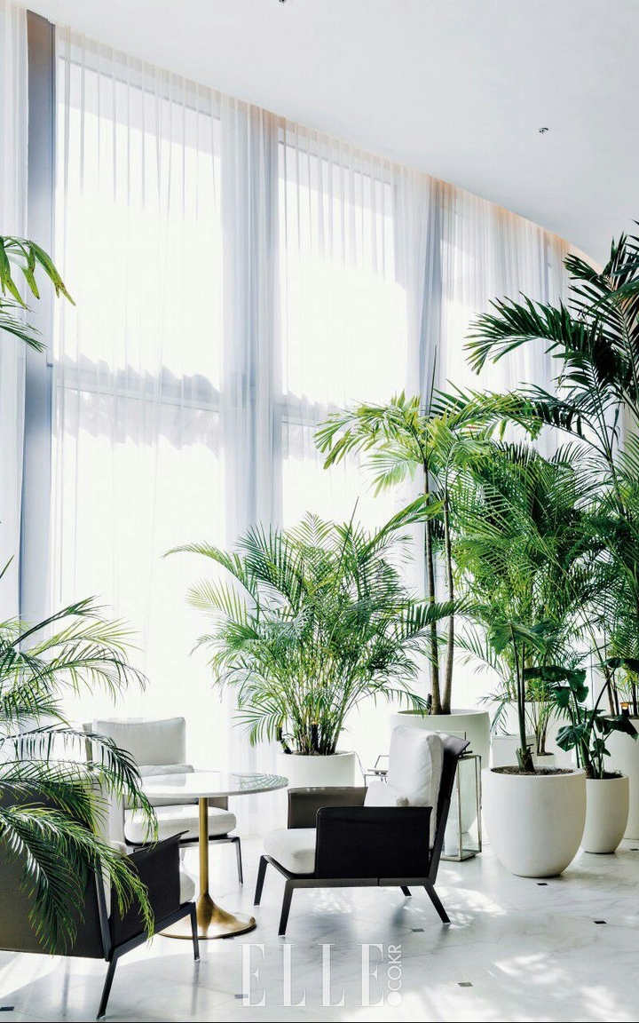 Plantation and Decorations