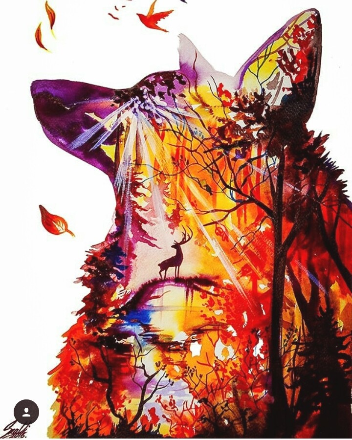the wolf is the forest