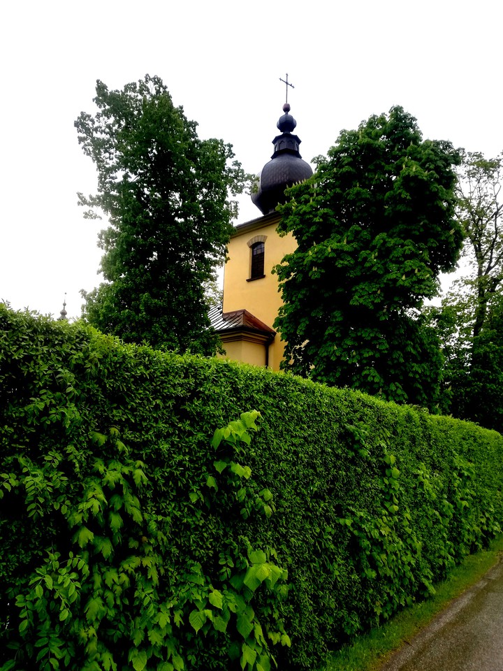 kościół church green zieleń
