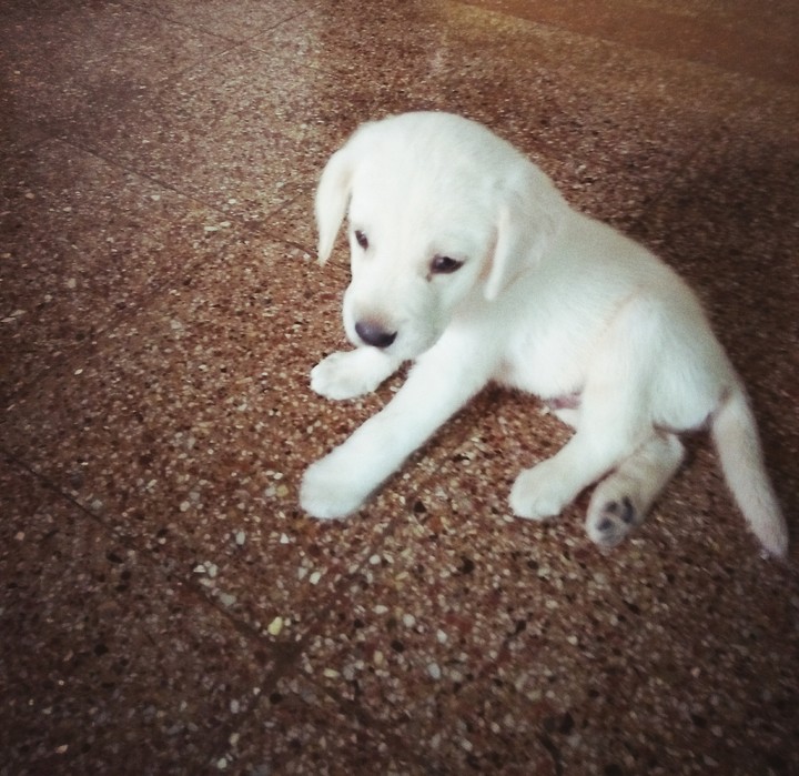 cuteeeee