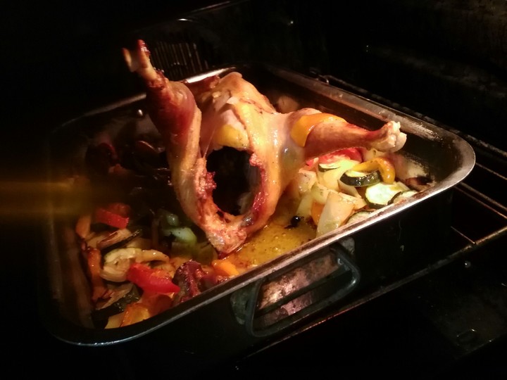 pollo